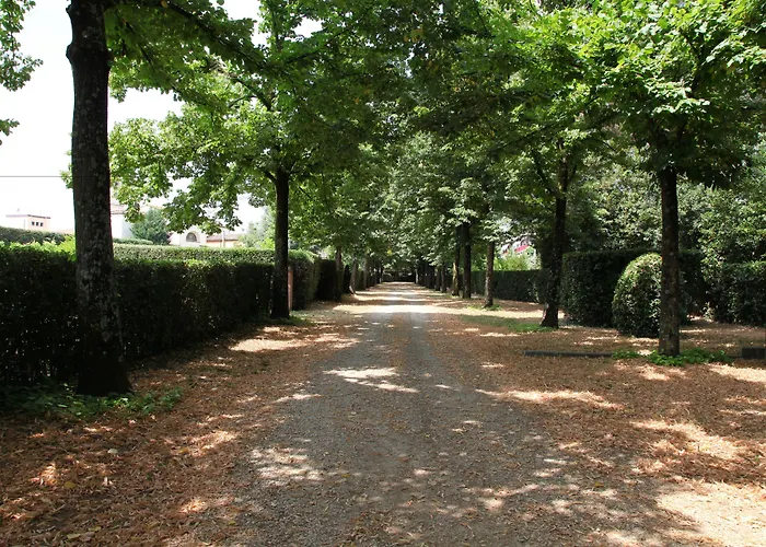 Rovezzano Bed & Breakfast Firenze
