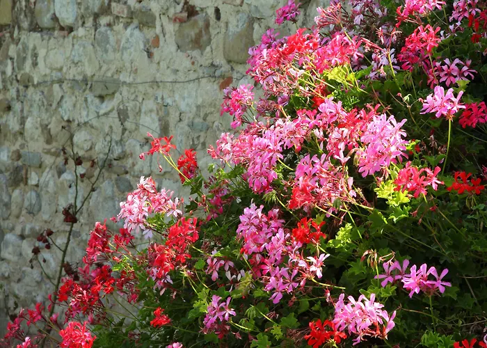 Bed & Breakfast Rovezzano Firenze